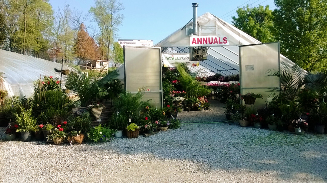 Annuals Landscaping MaterialSaint CharlesWentzvilleWorld Outdoor